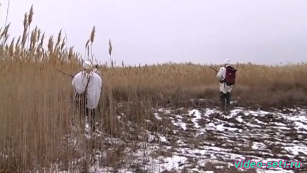 Охота на гусей в Заполярье, Россия